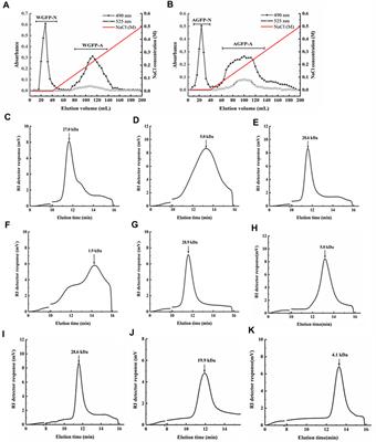 Preparation and structural analysis of fucomannogalactan and β-1,6-glucan from Grifola frondosa mycelium